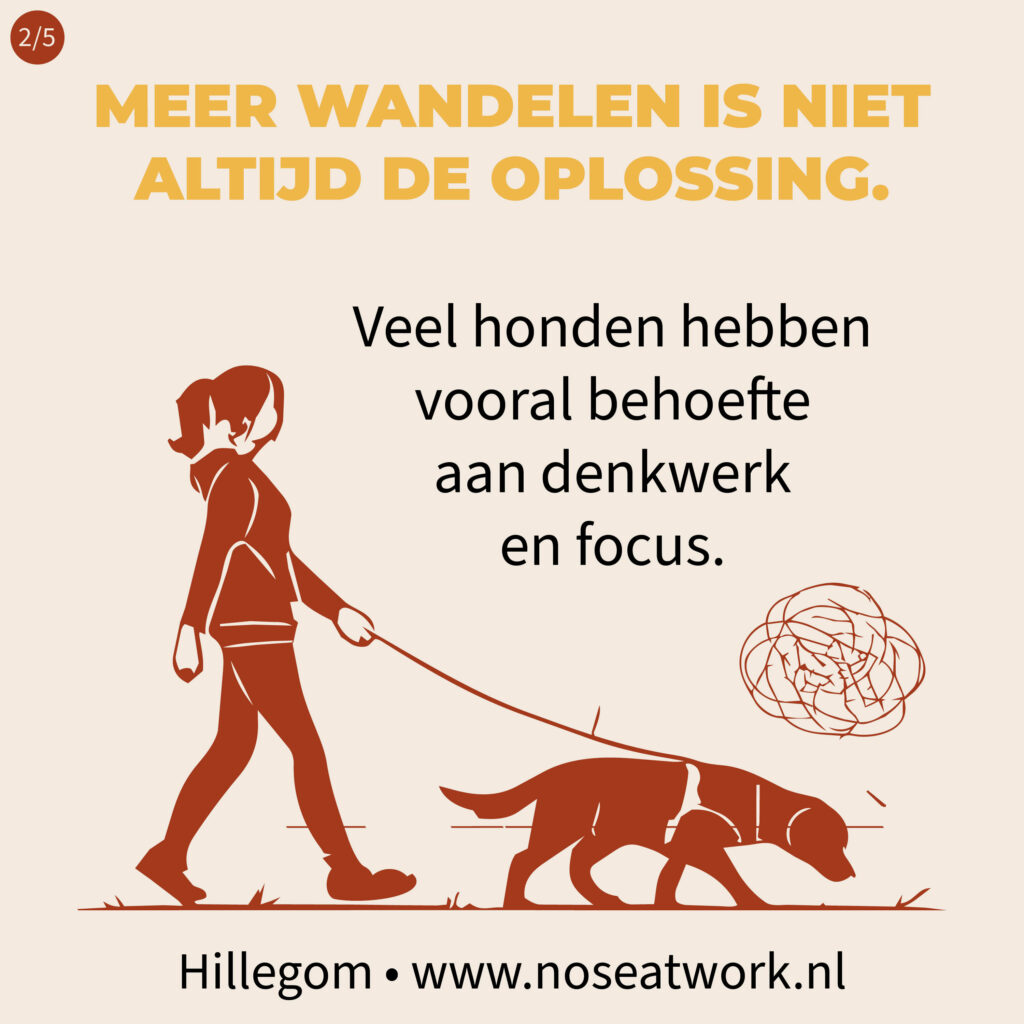 noseatwork - hillegom