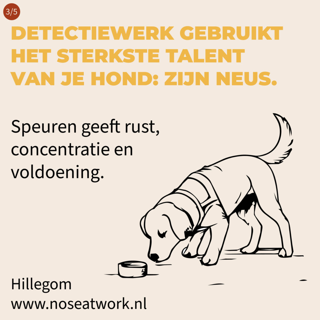 noseatwork - hillegom