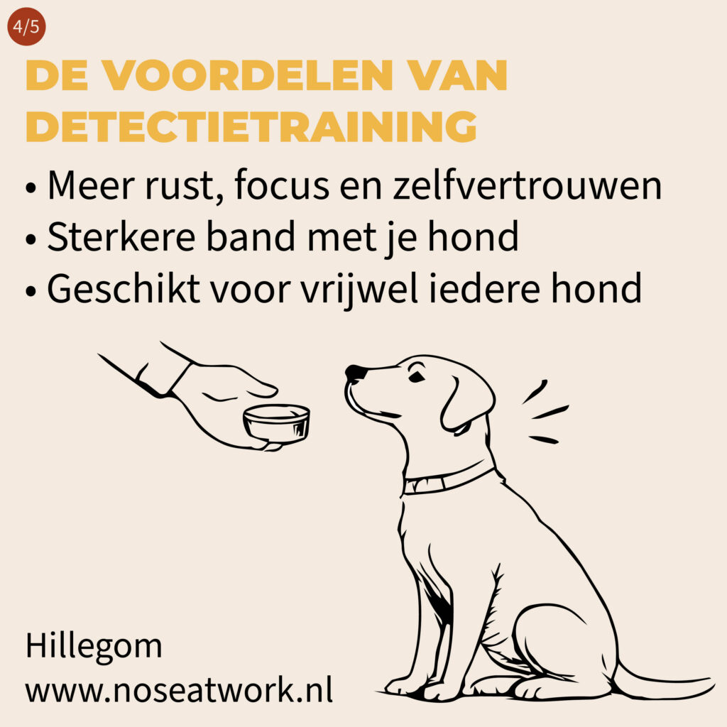 noseatwork - hillegom