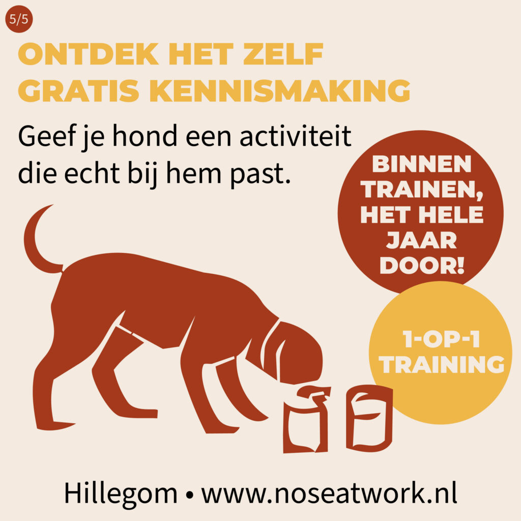 noseatwork - hillegom